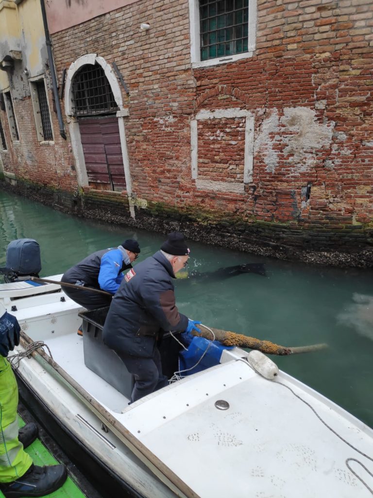 Dopo Quanto I Polmoni Si Puliscono